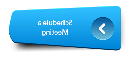 Blue button with text, "Schedule a Meeting".